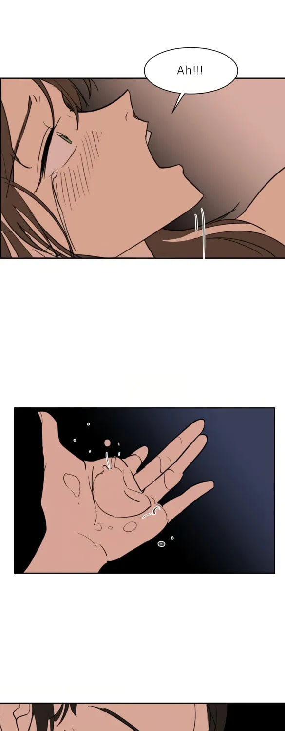 Read LOVE WINS chapter 25.5 image 6 on Lezhin
