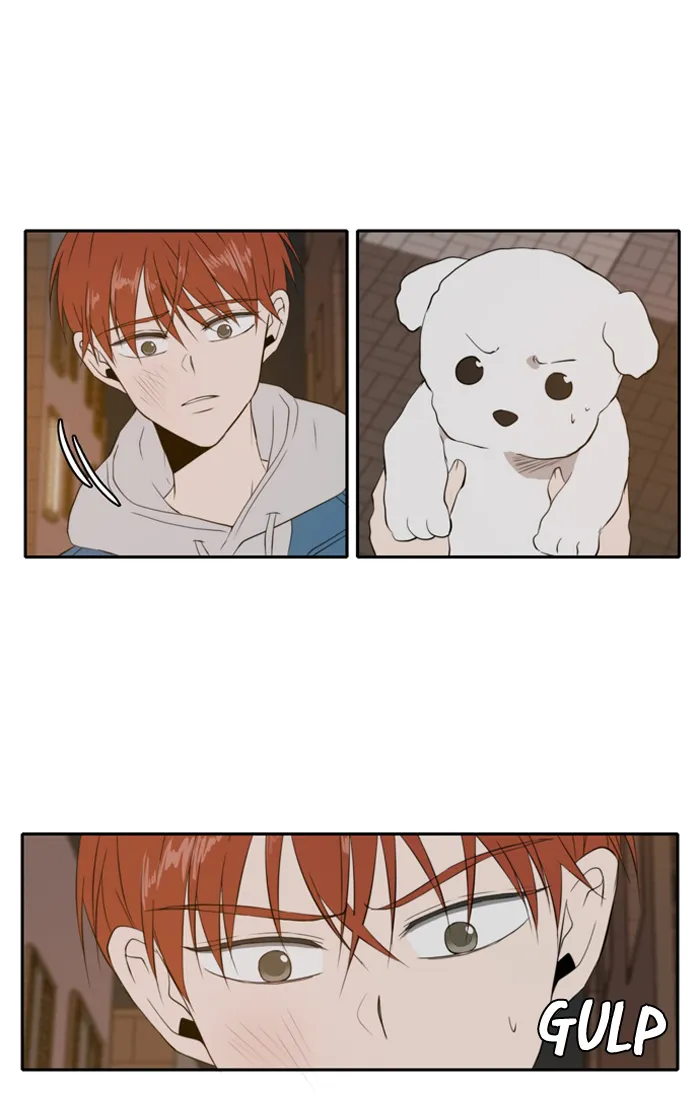 Read Lovely Again Today chapter 11 image 13 on Lezhin