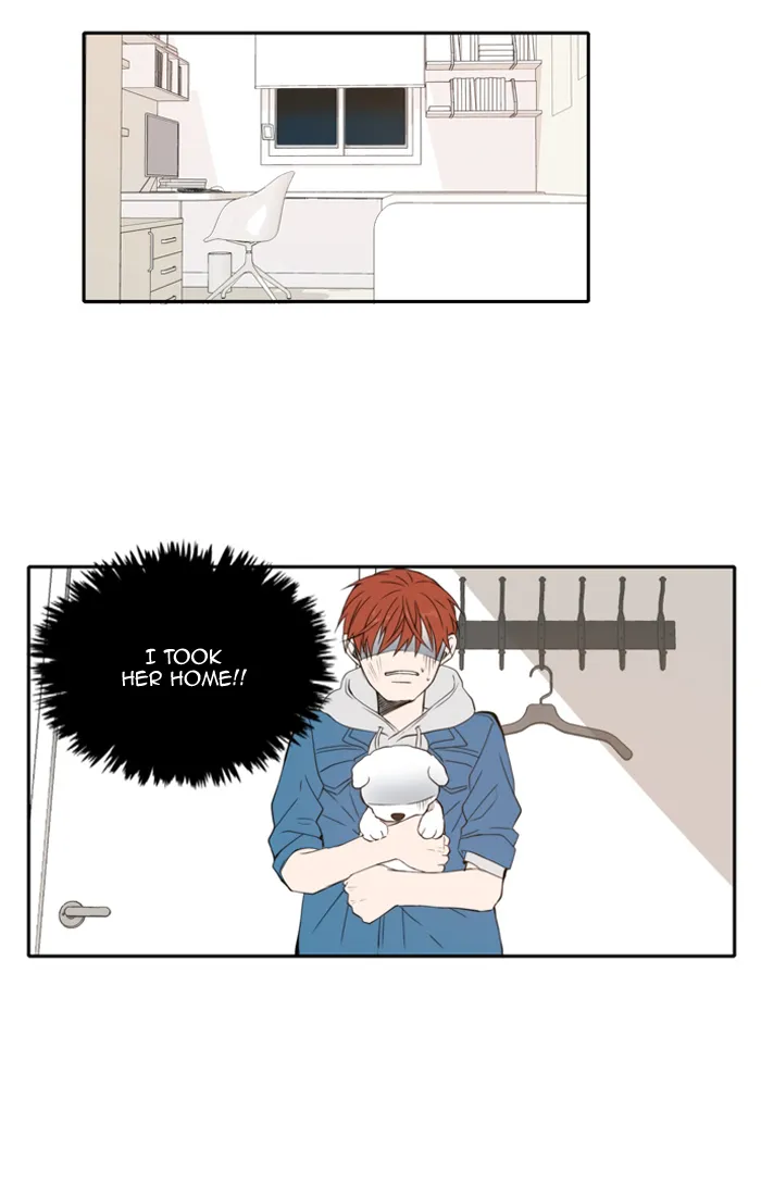 Read Lovely Again Today chapter 11 image 15 on Lezhin