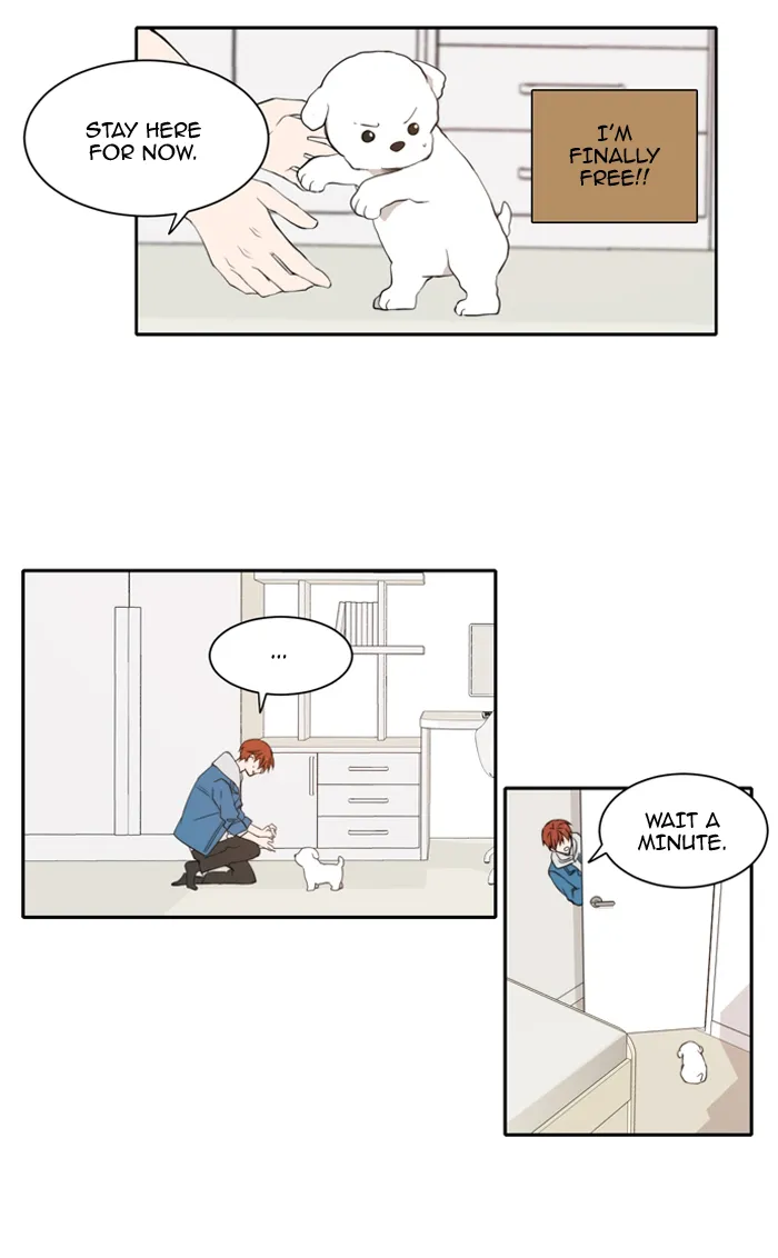 Read Lovely Again Today chapter 11 image 18 on Lezhin