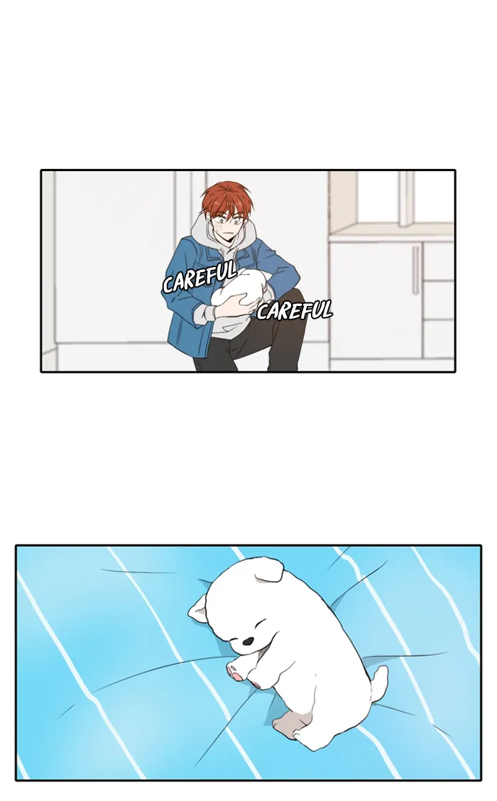 Read Lovely Again Today chapter 11 image 25 on Lezhin
