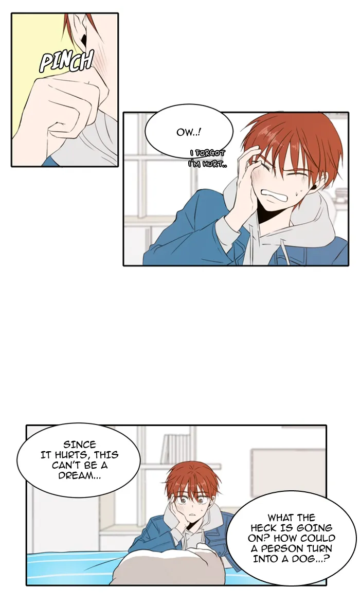 Read Lovely Again Today chapter 11 image 27 on Lezhin