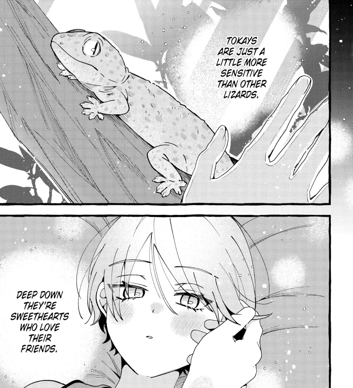 Read Lovely Leapin