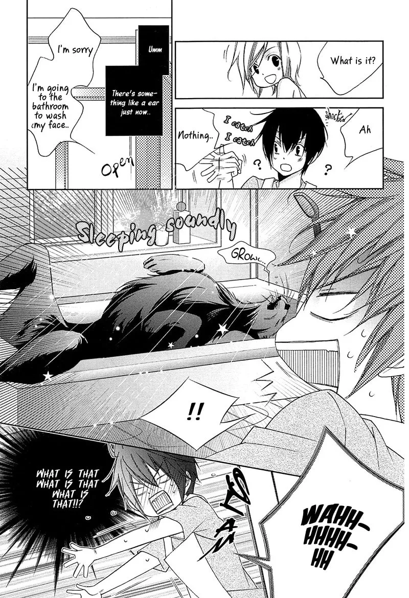 Read Lovers beast chapter 2 image 18 on Lezhin