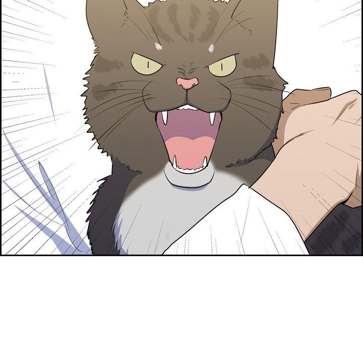 Read Lovers, Cats, and the Killer chapter 19 image 23 on Lezhin