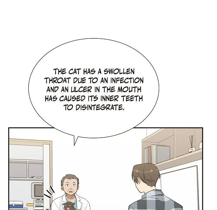 Read Lovers, Cats, and the Killer chapter 19 image 24 on Lezhin