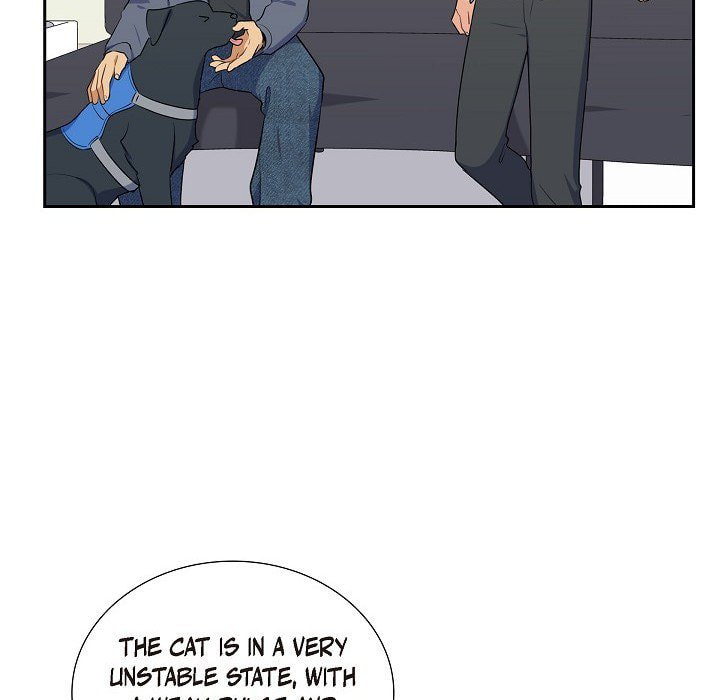 Read Lovers, Cats, and the Killer chapter 19 image 6 on Lezhin