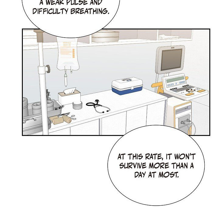 Read Lovers, Cats, and the Killer chapter 19 image 7 on Lezhin