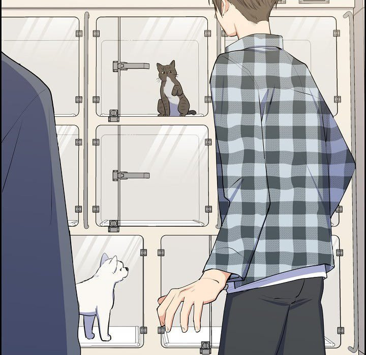 Read Lovers, Cats, and the Killer chapter 19 image 71 on Lezhin