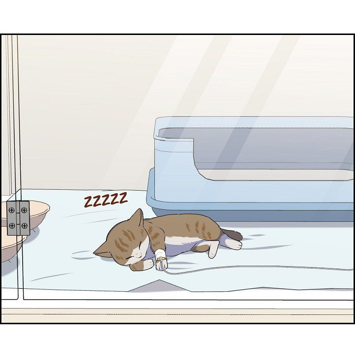 Read Lovers, Cats, and the Killer chapter 19 image 76 on Lezhin