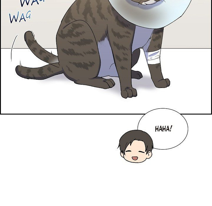 Read Lovers, Cats, and the Killer chapter 22 image 11 on Lezhin