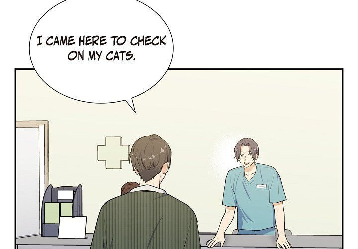 Read Lovers, Cats, and the Killer chapter 22 image 3 on Lezhin