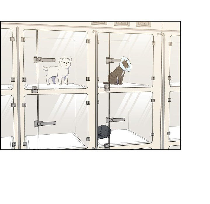 Read Lovers, Cats, and the Killer chapter 22 image 7 on Lezhin