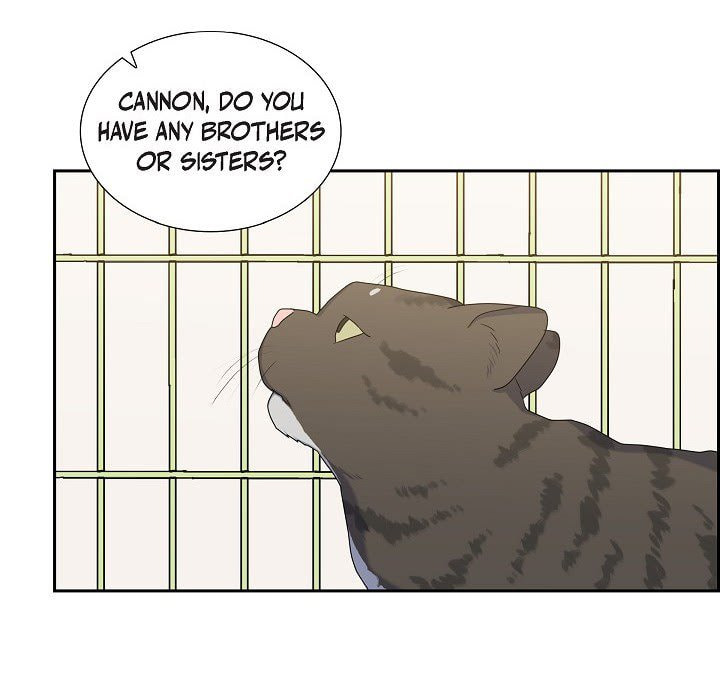 Read Lovers, Cats, and the Killer chapter 30 image 24 on Lezhin