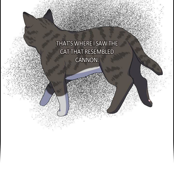 Read Lovers, Cats, and the Killer chapter 30 image 64 on Lezhin