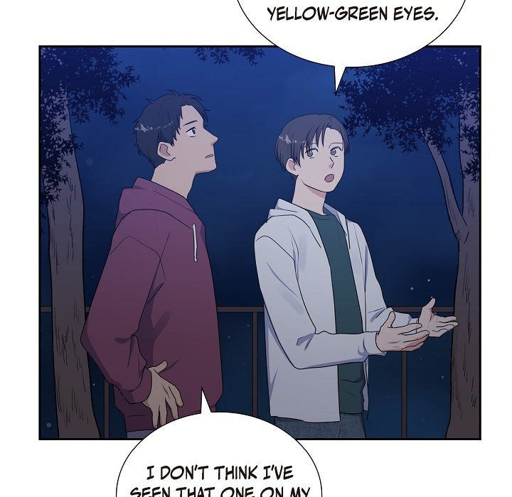 Read Lovers, Cats, and the Killer chapter 30 image 70 on Lezhin