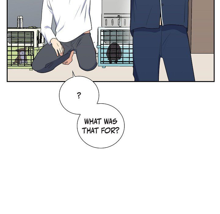 Read Lovers, Cats, and the Killer chapter 34 image 21 on Lezhin