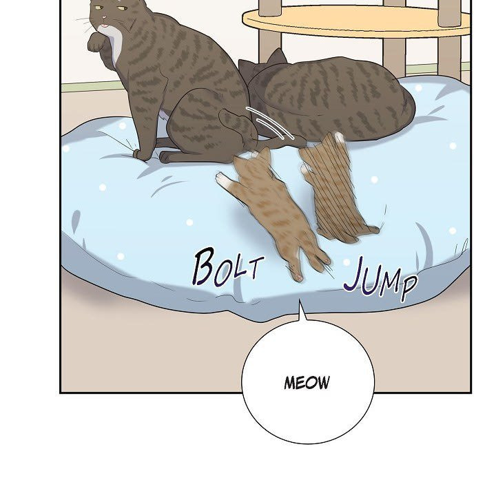 Read Lovers, Cats, and the Killer chapter 44 image 21 on Lezhin