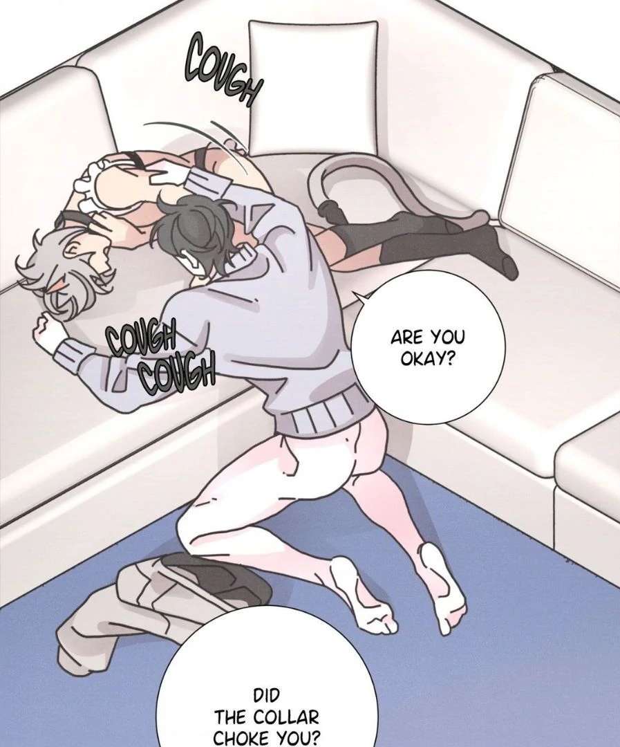 Read Lovesick Dog chapter 1 image 19 on Lezhin