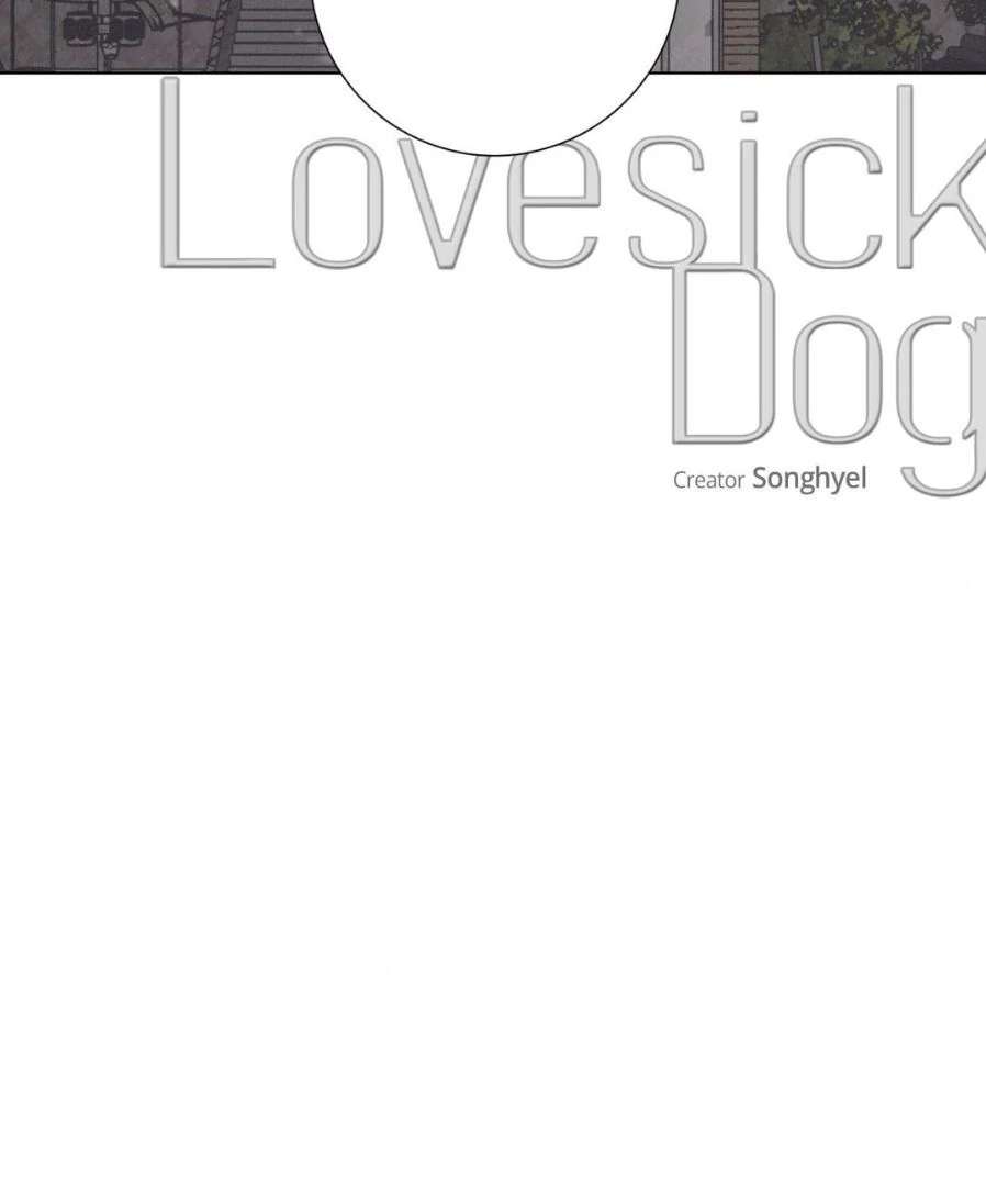 Read Lovesick Dog chapter 1 image 54 on Lezhin