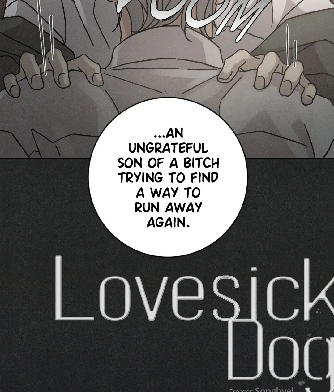Read Lovesick Dog chapter 54 image 6 on Lezhin