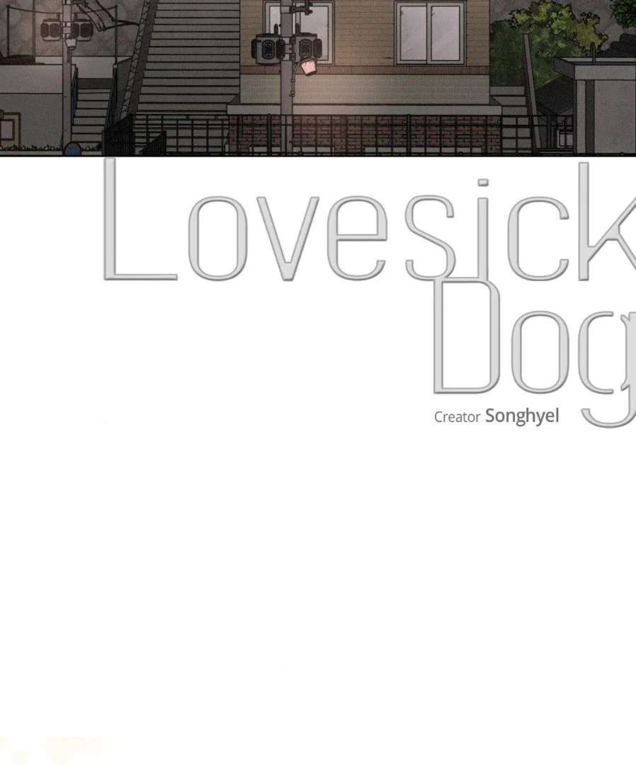 Read Lovesick Dog chapter 6 image 36 on Lezhin