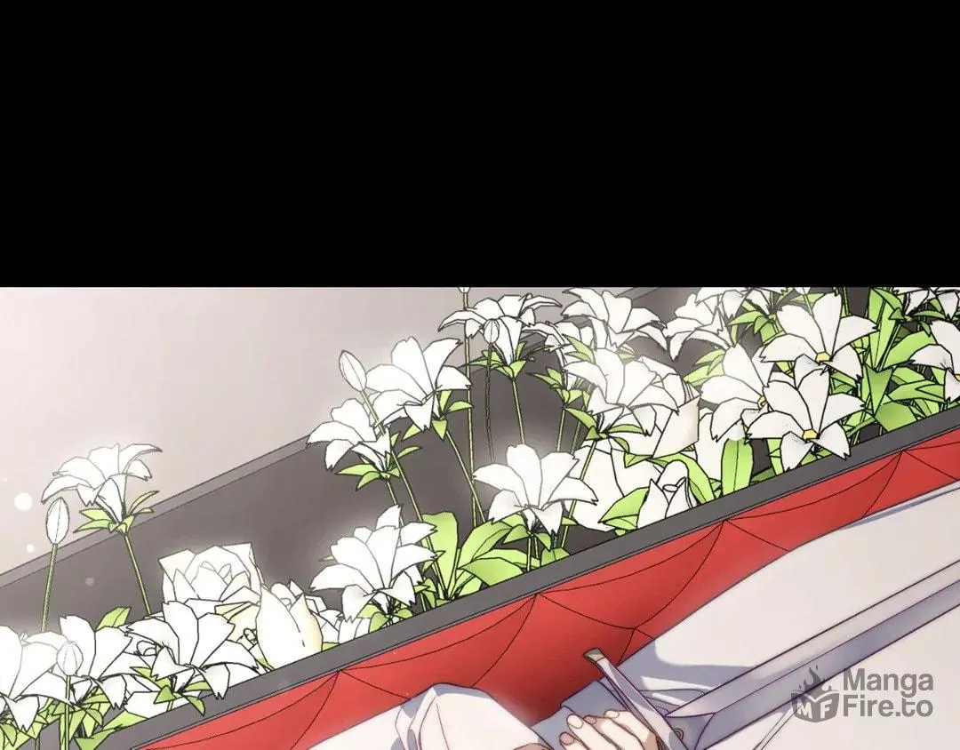 Read Lucia chapter 144 image 167 on Lezhin
