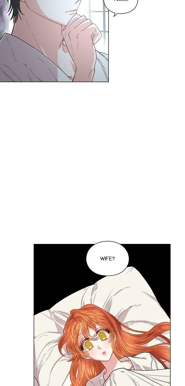 Read Lucia chapter 22 image 8 on Lezhin