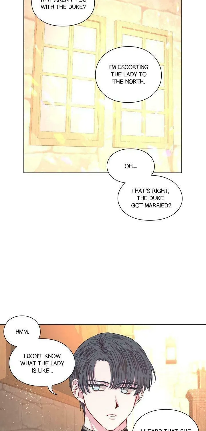 Read Lucia chapter 23 image 17 on Lezhin