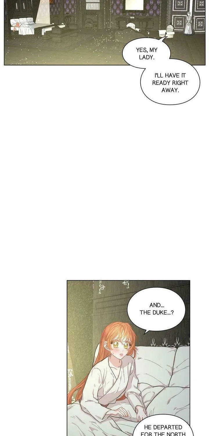 Read Lucia chapter 23 image 31 on Lezhin