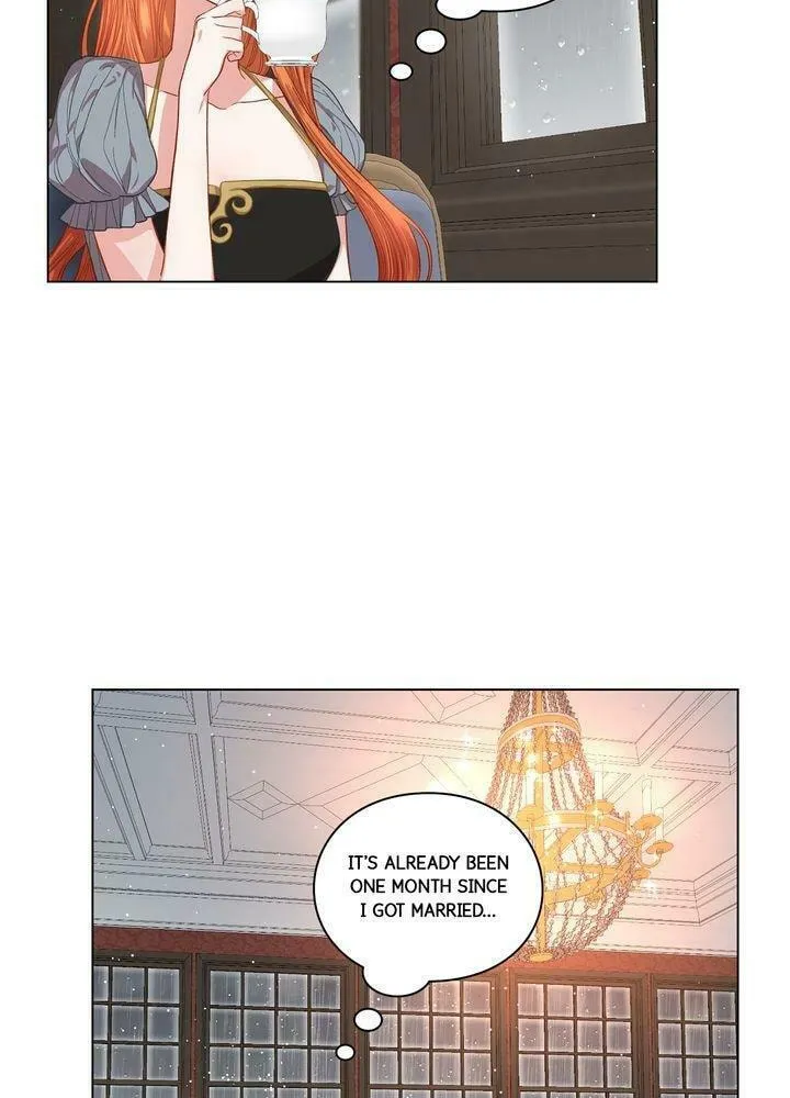 Read Lucia chapter 31 image 3 on Lezhin