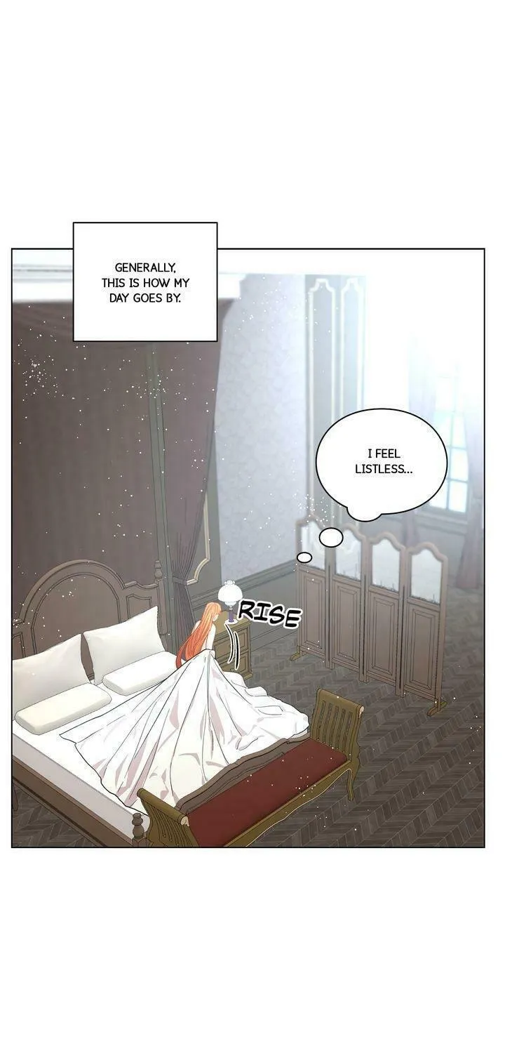 Read Lucia chapter 36 image 12 on Lezhin