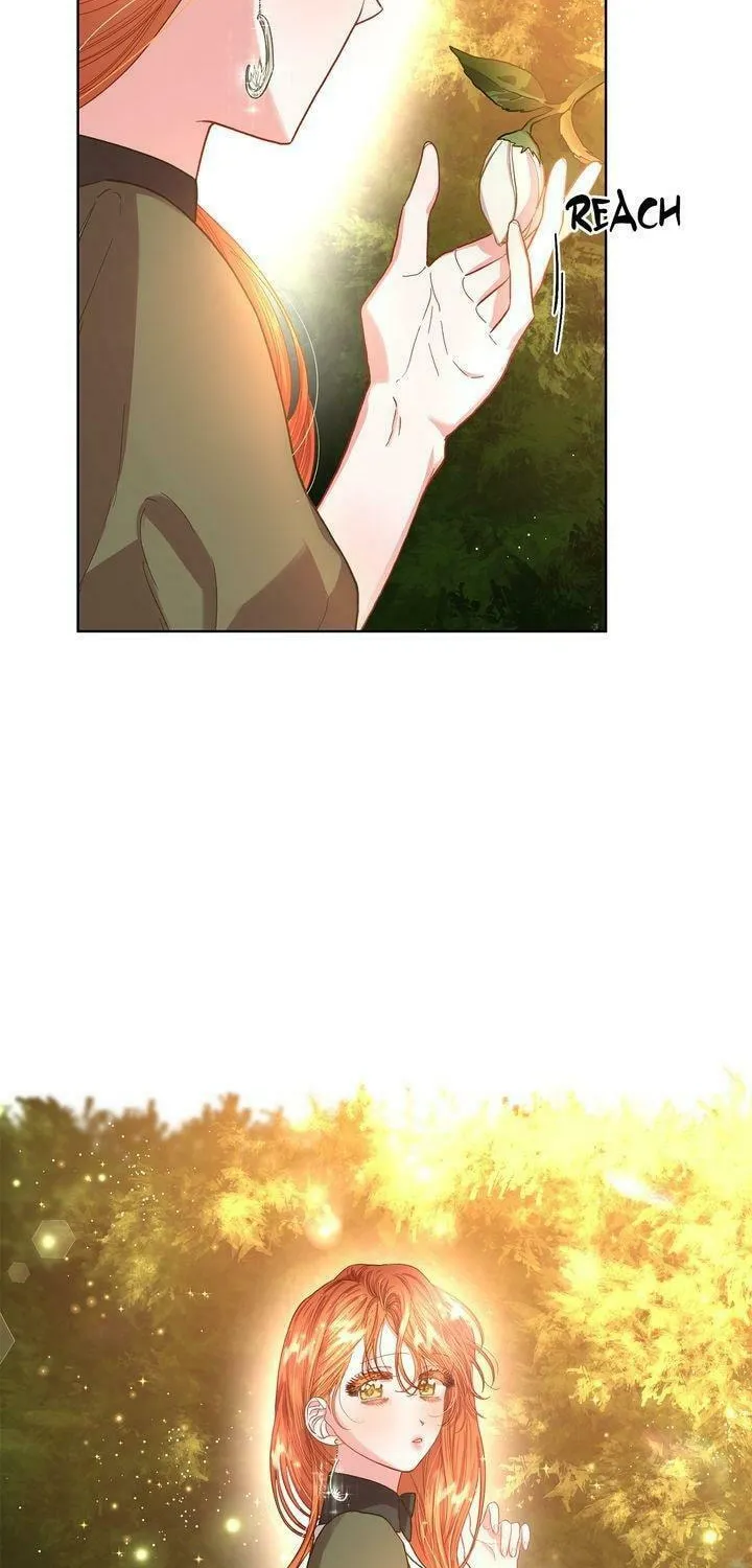 Read Lucia chapter 42 image 62 on Lezhin