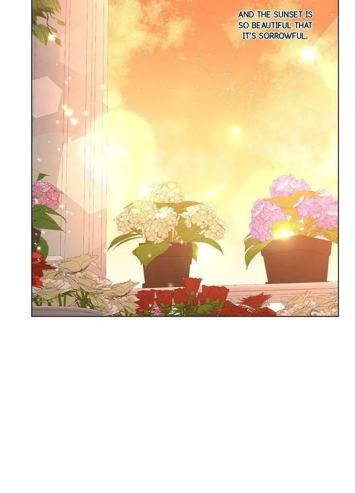 Read Lucia chapter 46 image 3 on Lezhin