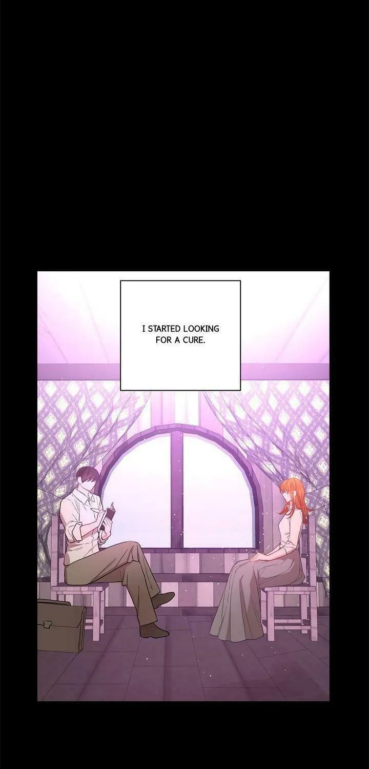 Read Lucia chapter 49 image 8 on Lezhin