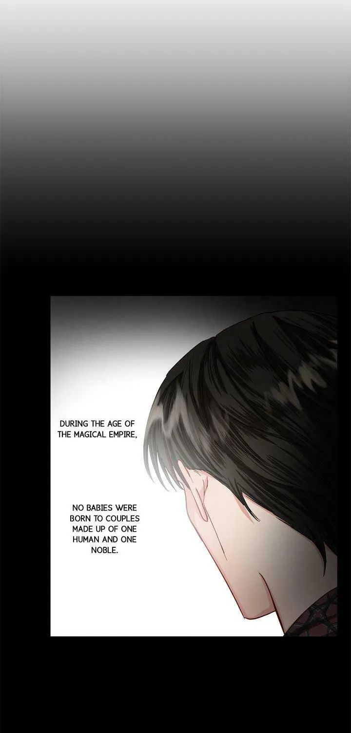 Read Lucia chapter 52 image 32 on Lezhin