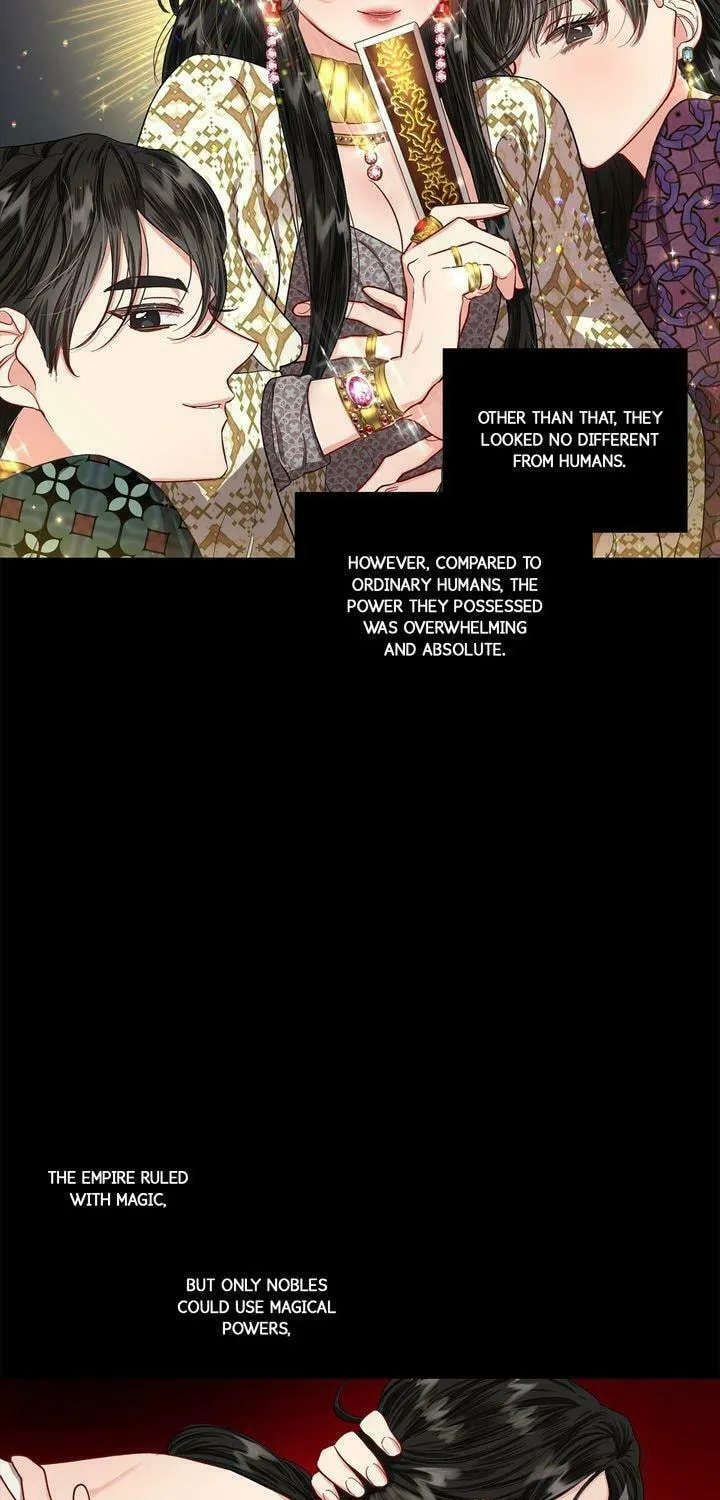 Read Lucia chapter 52 image 4 on Lezhin