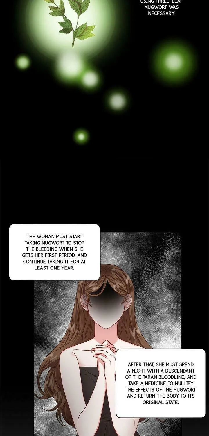 Read Lucia chapter 52 image 40 on Lezhin
