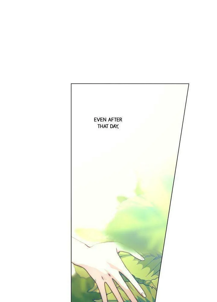 Read Lucia chapter 65 image 14 on Lezhin