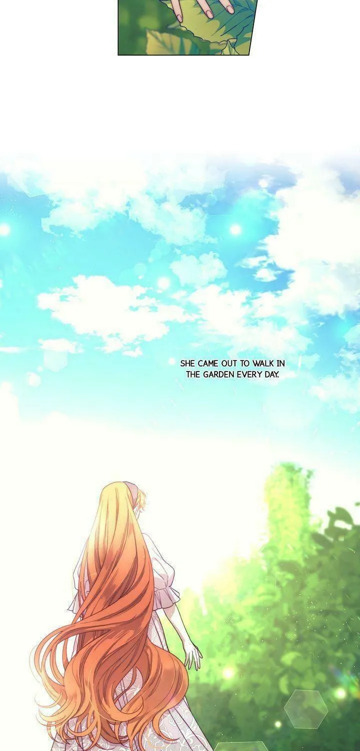 Read Lucia chapter 65 image 15 on Lezhin