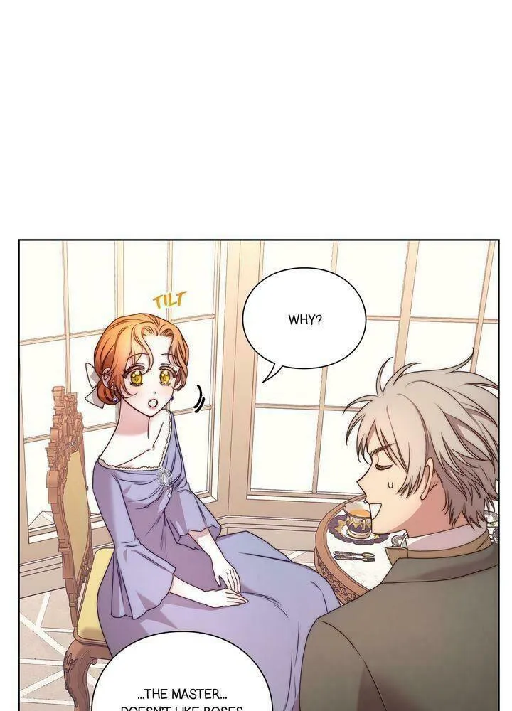 Read Lucia chapter 84 image 6 on Lezhin