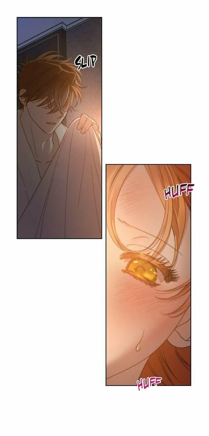 Read Lucia chapter 86 image 55 on Lezhin