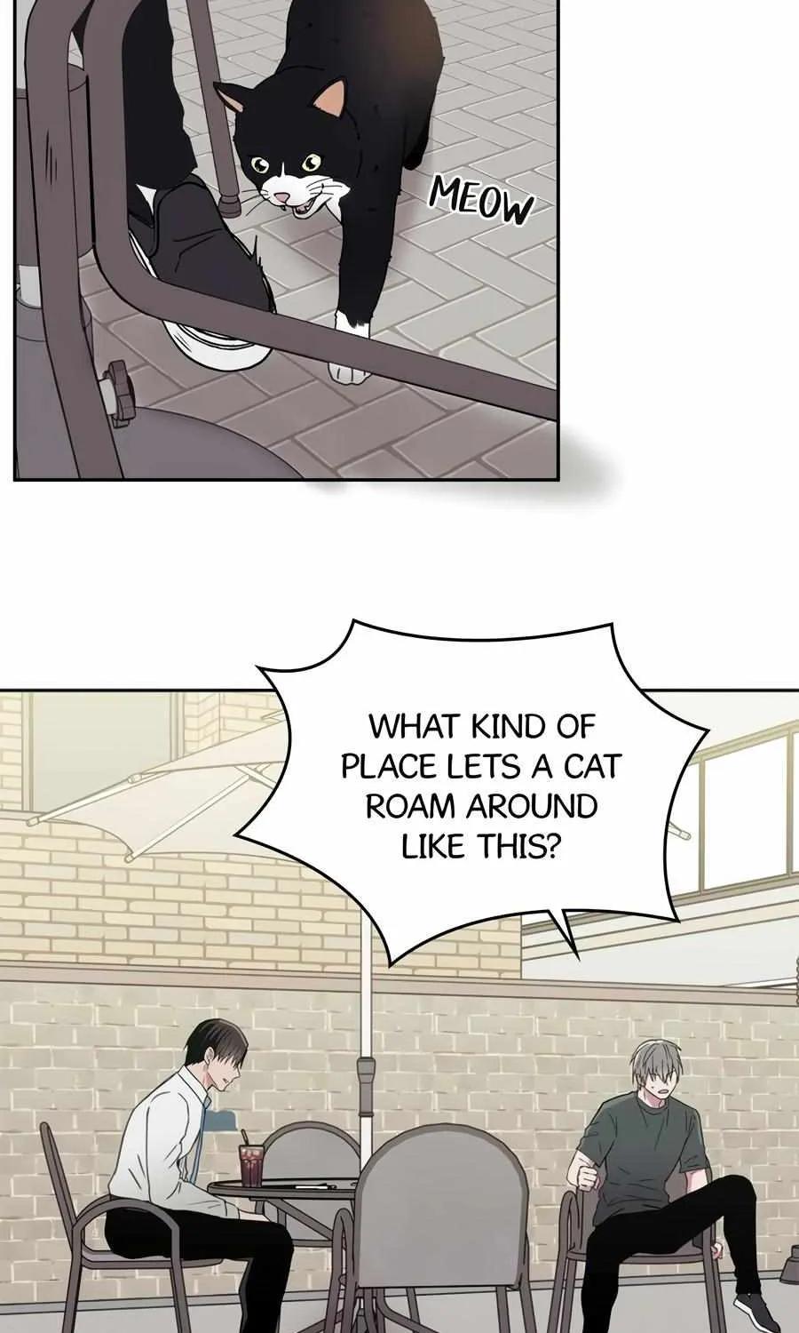 Read Lucky Credit chapter 17 image 45 on Lezhin