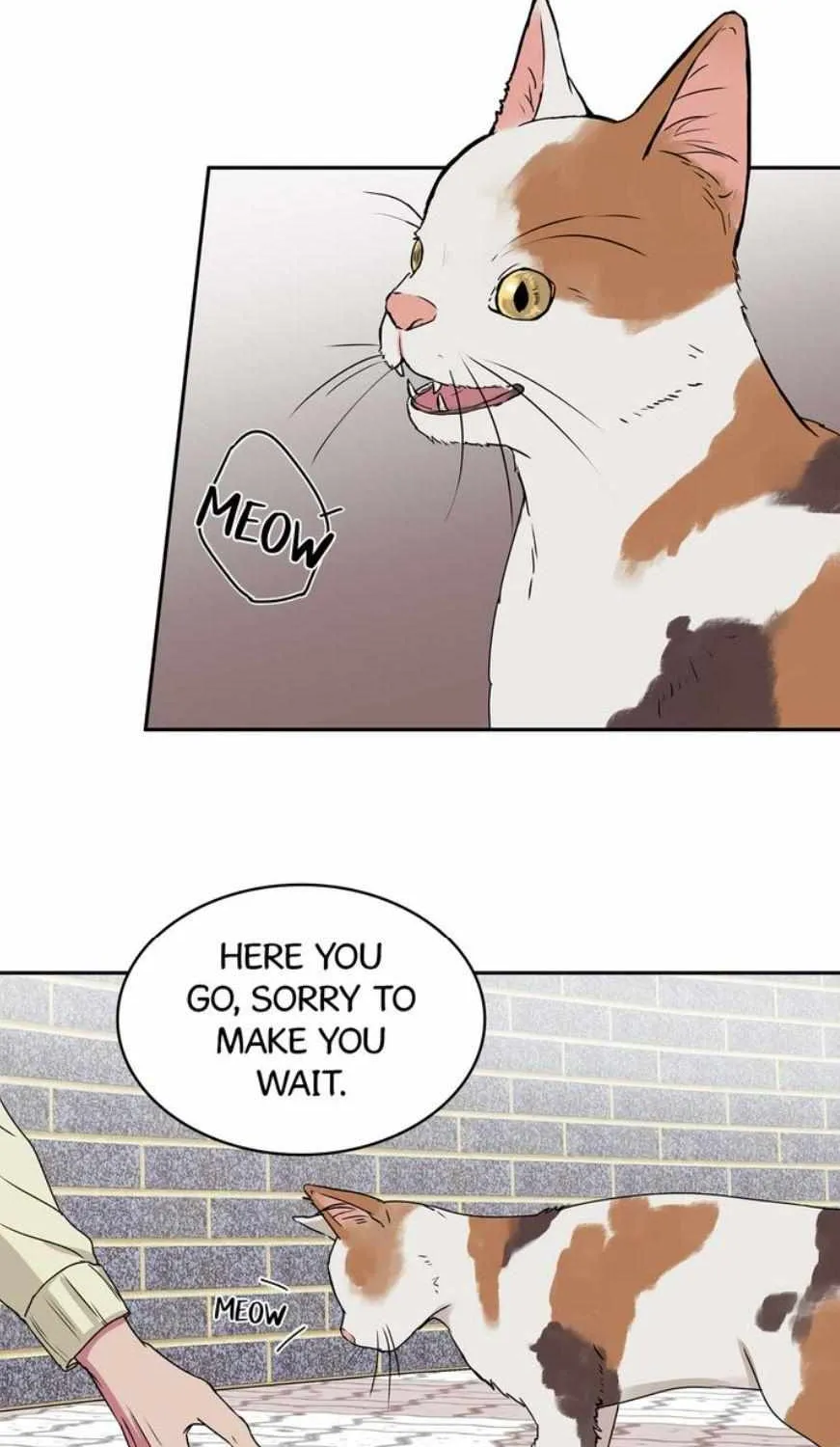 Read Lucky Credit chapter 4 image 7 on Lezhin