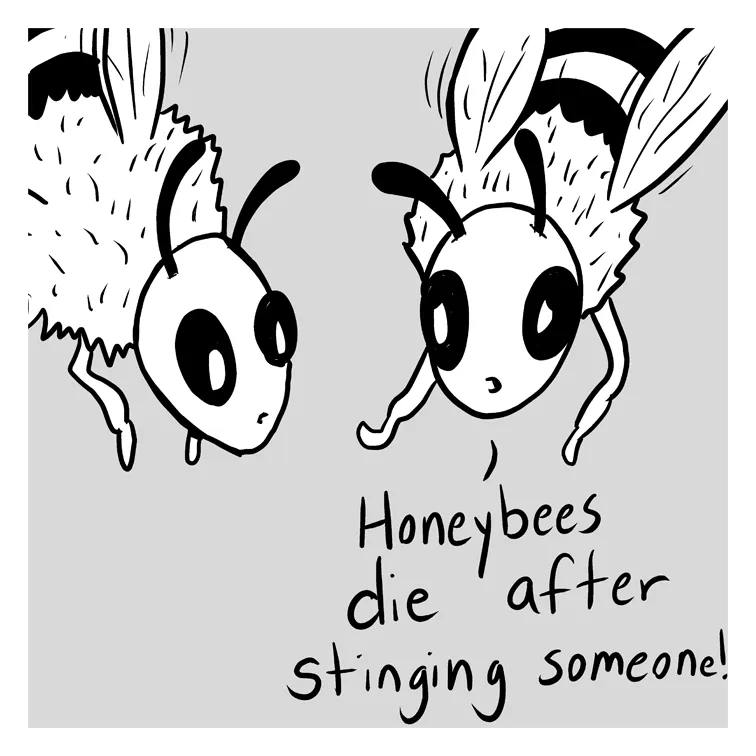Read Lunarbaboon chapter 205 image 3 on Lezhin