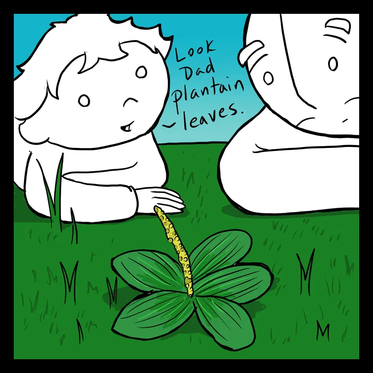 Read Lunarbaboon chapter 259 image 1 on Lezhin