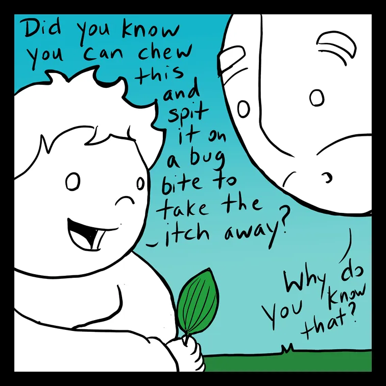 Read Lunarbaboon chapter 259 image 2 on Lezhin