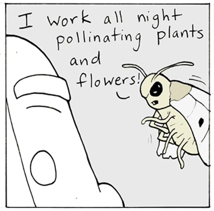 Read Lunarbaboon chapter 674 image 3 on Lezhin