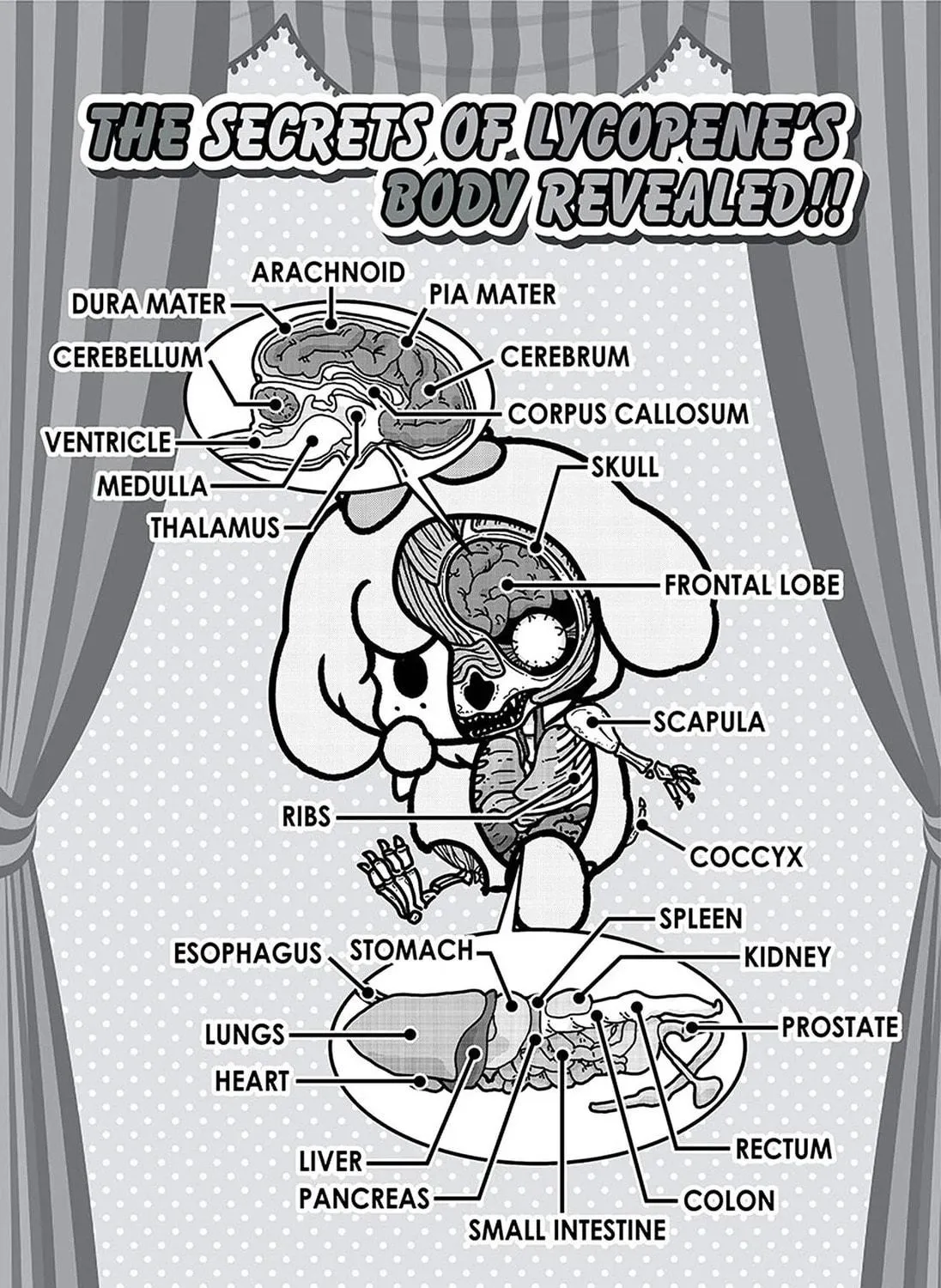 Read Lycopene the Tomatoy Poodle chapter 2 image 4 on Lezhin