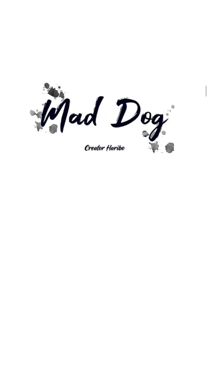 Read Mad Dog chapter 12 image 13 on Lezhin